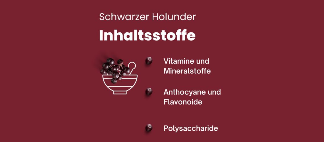 Schaubild Schwarzer Holunder Inhaltsstoffe zum Thema Warum ist Holunder eigentlich so gesund